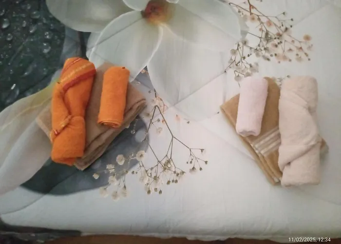 Anna 蒙泰斯卡廖索